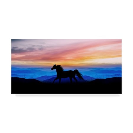Ata Alishahi 'Black Horse Silhouette' Canvas Art,12x24